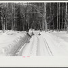 Hauling timber by tractor to the road where it is taken by truck to the mill. Near Barnard, Windsor county, Vermont