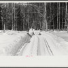 Hauling timber by tractor to the road where it is taken by truck to the mill. Near Barnard, Windsor county, Vermont