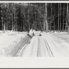Hauling timber by tractor to the road where it is taken by truck to the mill. Near Barnard, Windsor county, Vermont