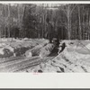 Hauling timber by tractor to the road where it is taken by truck to the mill. Near Barnard, Windsor county, Vermont