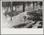 Logs hauled by tractor to the road where they are picked up by truck and taken to the mill. Near Barnard, Windsor County, Vermont
