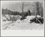 Hired man on Gilbert farm emptying load of manure after cleaning out the dairy barn early on a winter morning. Woodstock, Vermont