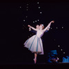 Oh Captain!, original Broadway production