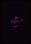 Oh Captain!, original Broadway production