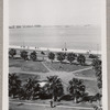 Yeichi Nimura in Alexandria