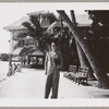 Lisan Kay in Honolulu