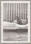 Lisan Kay and Yeichi Nimura's cats Wang and Ting in their Carnegie Hall studio