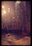 The Leaf People, original Broadway production