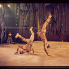 The Leaf People, original Broadway production