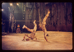 The Leaf People, original Broadway production