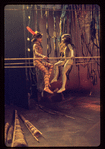 The Leaf People, original Broadway production