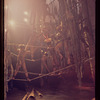 The Leaf People, original Broadway production