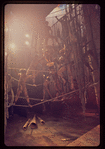 The Leaf People, original Broadway production