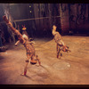 The Leaf People, original Broadway production