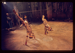 The Leaf People, original Broadway production