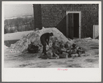 Hired hand on Mr. Dickinson's farm, splitting logs for winter fuel. Lisbon, near Franconia, New Hampshire