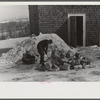 Hired hand on Mr. Dickinson's farm, splitting logs for winter fuel. Lisbon, near Franconia, New Hampshire