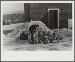 Hired hand on Mr. Dickinson's farm, splitting logs for winter fuel. Lisbon, near Franconia, New Hampshire