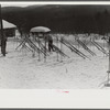 Skis outside of Tollhouse at foot of Mount Mansfield, Smugglers Notch. Near Stowe, Vermont
