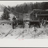 Timber levelled by 1938 hurricane at sawmill near Warren, New Hampshire