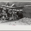 Timber levelled by 1938 hurricane at sawmill near Warren, New Hampshire