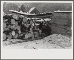 Timber levelled by 1938 hurricane at sawmill near Warren, New Hampshire