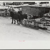 Timber levelled by 1938 hurricane at sawmill near Warren, New Hampshire