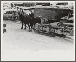 Timber levelled by 1938 hurricane at sawmill near Warren, New Hampshire