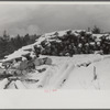 Timber levelled by 1938 hurricane at sawmill near Warren, New Hampshire