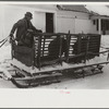 Hauling hogs to be slaughtered. Near Woodstock, Vermont