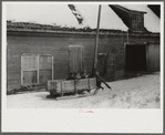 Hauling water in milk cans because usual source of supply is frozen on Putney Homestead near Woodstock, Vermont