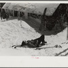 Forest ranger's hut also used by skiers in the winter, near the top of Mount Mansfield, Smuggler's Notch, Vermont