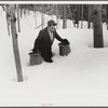 Hired man of Frank H. Shurtleff gathering sap from sugar trees for making maple syrup. Sugaring is a social event and is enjoyed by all young people and children in the neighborhood. The Shurtleff farm has about 400 acres and was