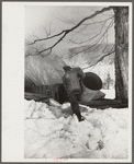Frank H. Shurtleff carrying vat to sugar house where sap from sugar maple trees is boiled down into maple syrup. The Shurtleff farm has about 400 acres and was