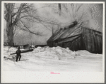 Young daughter of Frank H. Shurtleff going towards the sugar house where sap from sugar maple trees is boiled down into maple syrup. The Shurtleff farm has about 400 acres and was