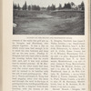 The Garden City Tournament 