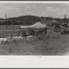 Itinerant repair man with family who goes around to the different farmers to mend their stoves. Near Lawrenceburg, Kentucky