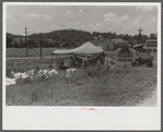 Itinerant repair man with family who goes around to the different farmers to mend their stoves. Near Lawrenceburg, Kentucky