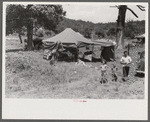 Itinerant repair man with family who goes around to the different farmers to mend their stoves. Near Lawrenceburg, Kentucky