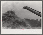 Threshing wheat on farm in Oldham County, Kentucky