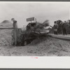 Threshing wheat on farm in Oldham County, Kentucky