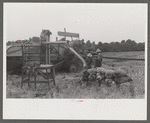 Threshing wheat on farm in Oldham County, Kentucky