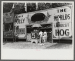 Midway and carnival, Shelby County Fair and Horse Show, Shelbyville, Kentucky