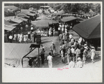 Midway and carnival, Shelby County Fair and Horse Show, Shelbyville, Kentucky