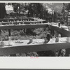 Table in picnic grove set for St. Thomas church supper near Bardstown, Kentucky