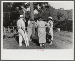 Parishoners gossiping while waiting for picnic supper at St. Thomas Church Picnic near Bardstown, Kentucky