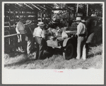 Unpacking supplies at the St. Thomas Church picnic supper near Bardstown, Kentucky