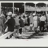 Spectators at Shelby County Horse Show and Fair. Shelbyville, Kentucky