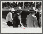 Spectators at Shelby County Horse Show and Fair. Shelbyville, Kentucky