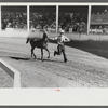 Enties in the Shelby County Horse Show and Fair. Shelbyville, Kentucky